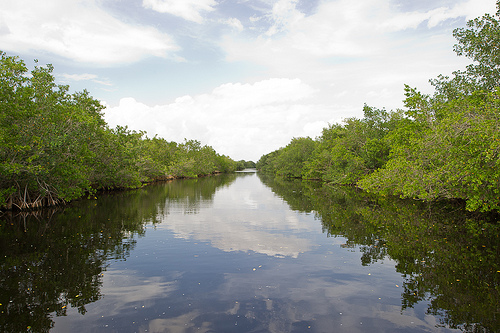 Everglades National Park